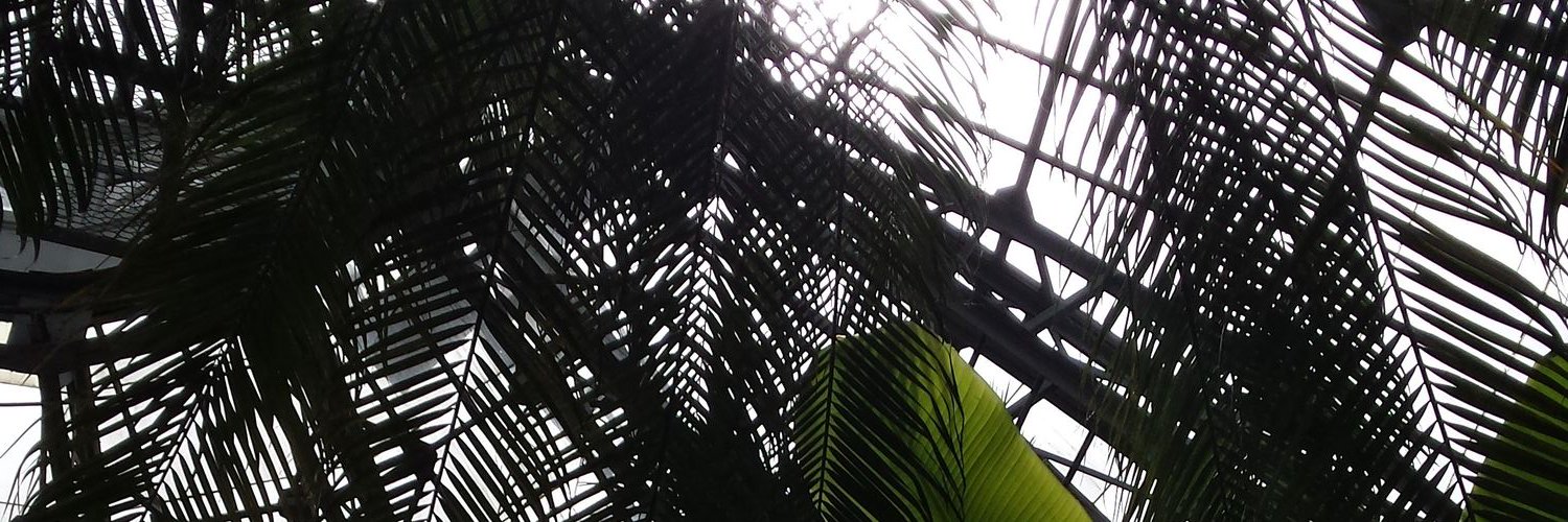 withmagic24's profile banner image