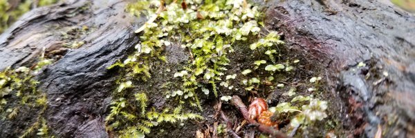 iyoungcasting Profile Banner