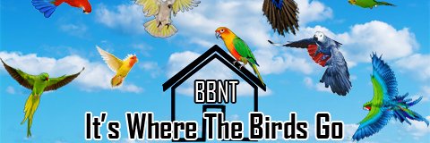 BirdBuffet's profile banner image