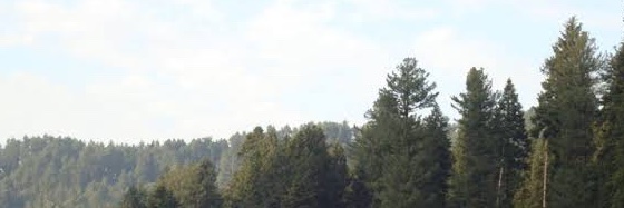 BritBushGuy banner