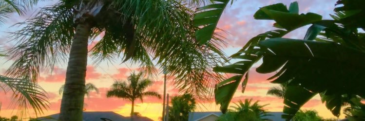 eryncampbell's profile banner image