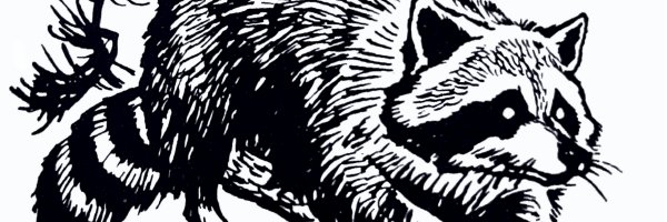 TheWalkerLane Profile Banner