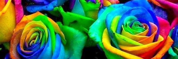 Bea_c97's profile banner image