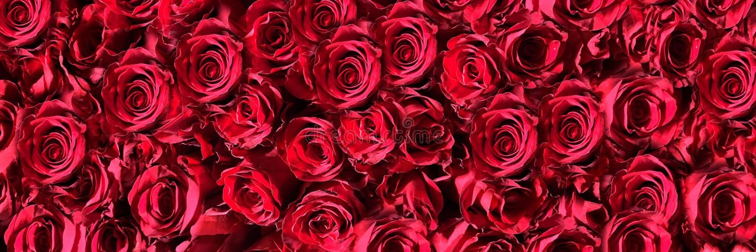 Manoo0307334873's profile banner image