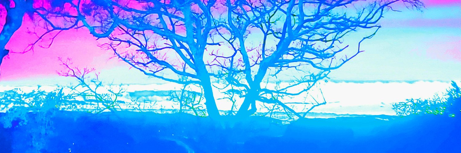 ƒ𝖆𝖎𝖓 banner