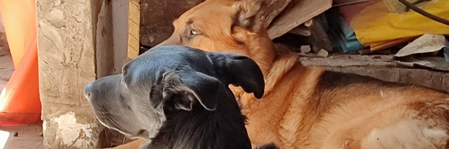 Fabián, él hijo del soldador banner