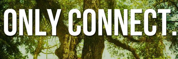 NaylaBahri Profile Banner