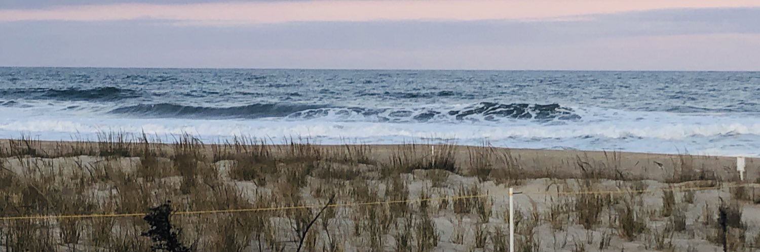 Jason Harinstein banner