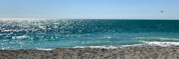 GZ9802 Profile Banner