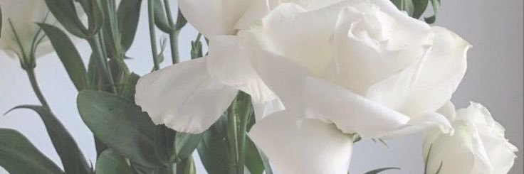 Rashoshabm's profile banner image