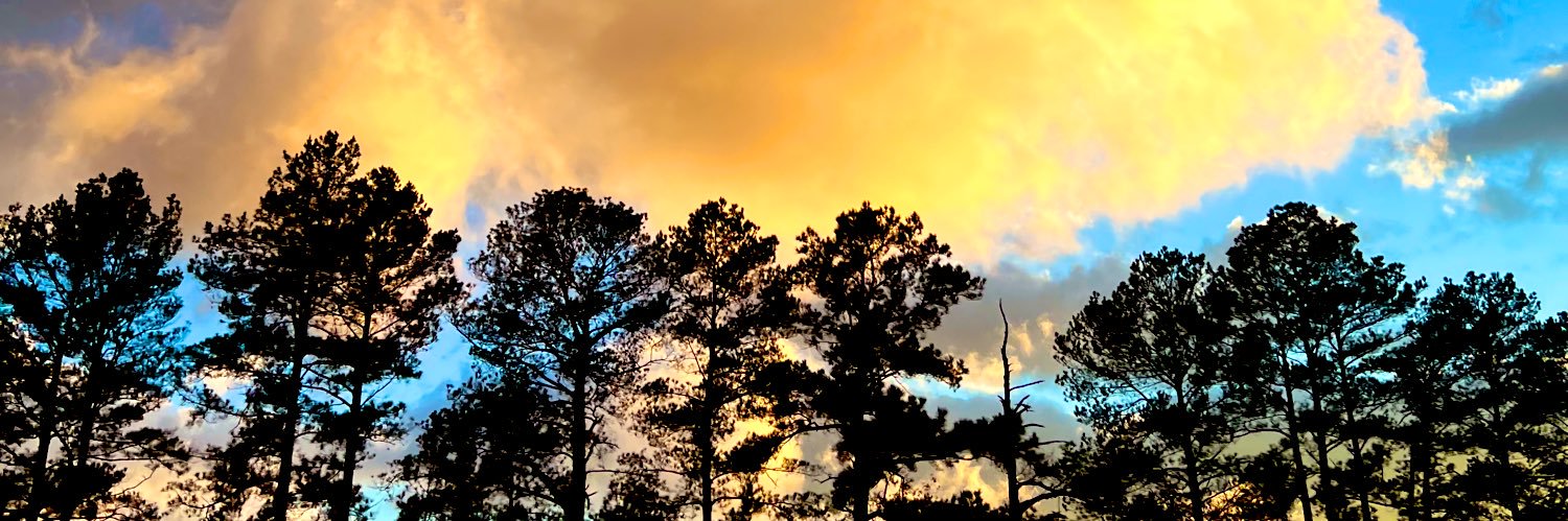 howerton_julia's profile banner image