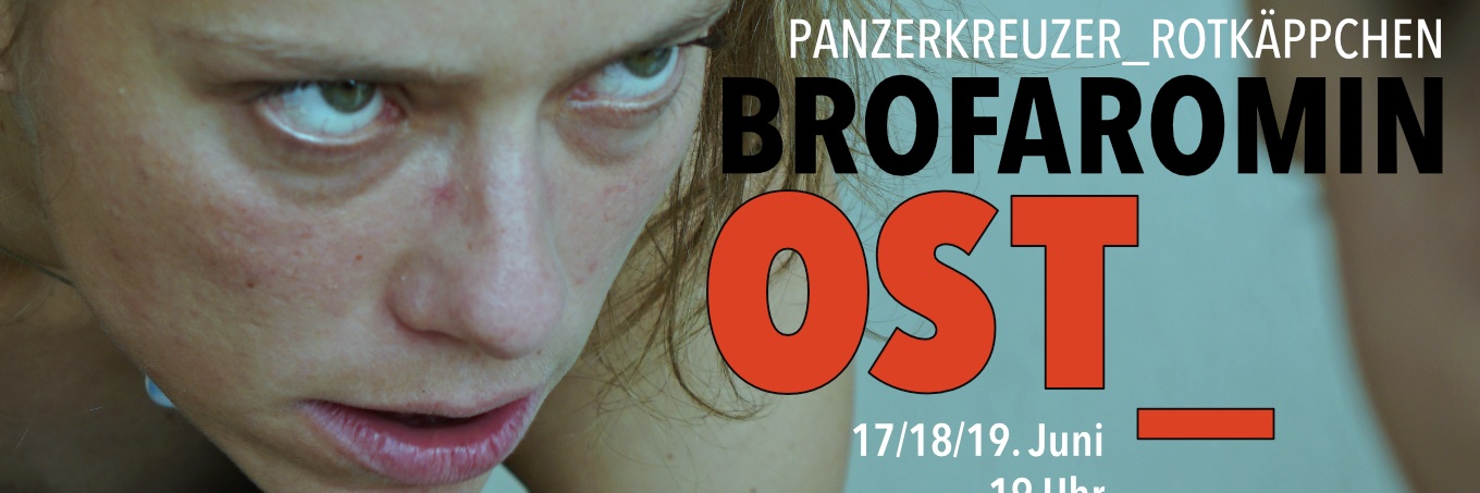 Panzerkreuzer banner