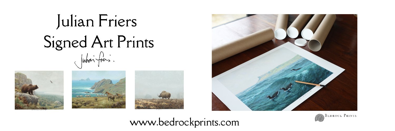 Julian Friers banner