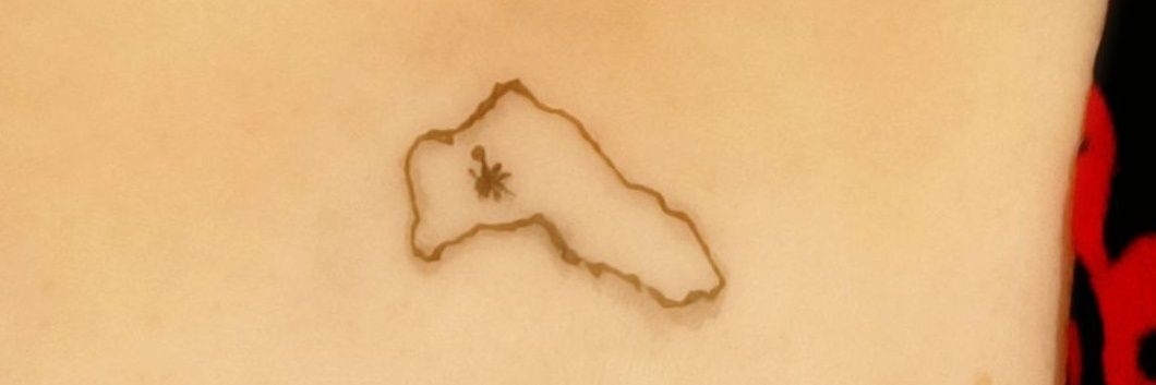 Dîlan Aviyar banner