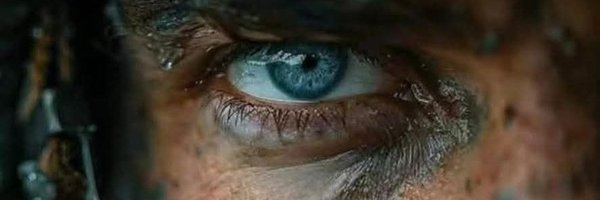 Mangouste68740 Profile Banner