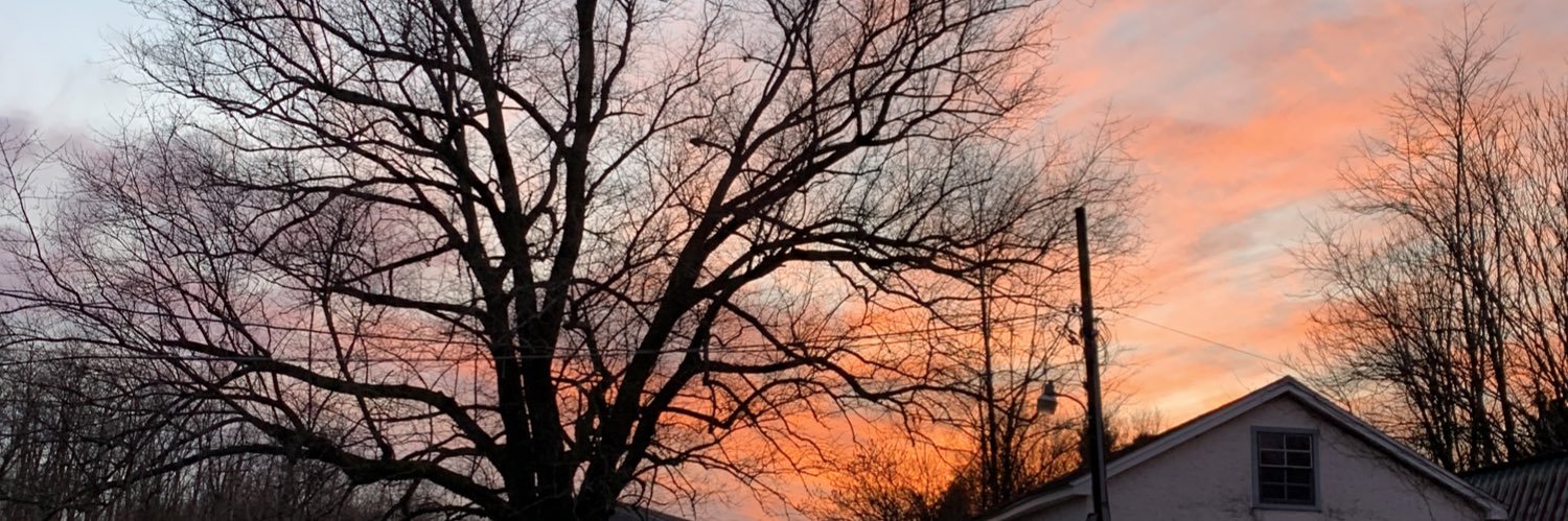cyndyyates's profile banner image