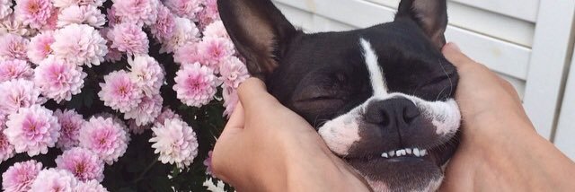 BStur's profile banner image