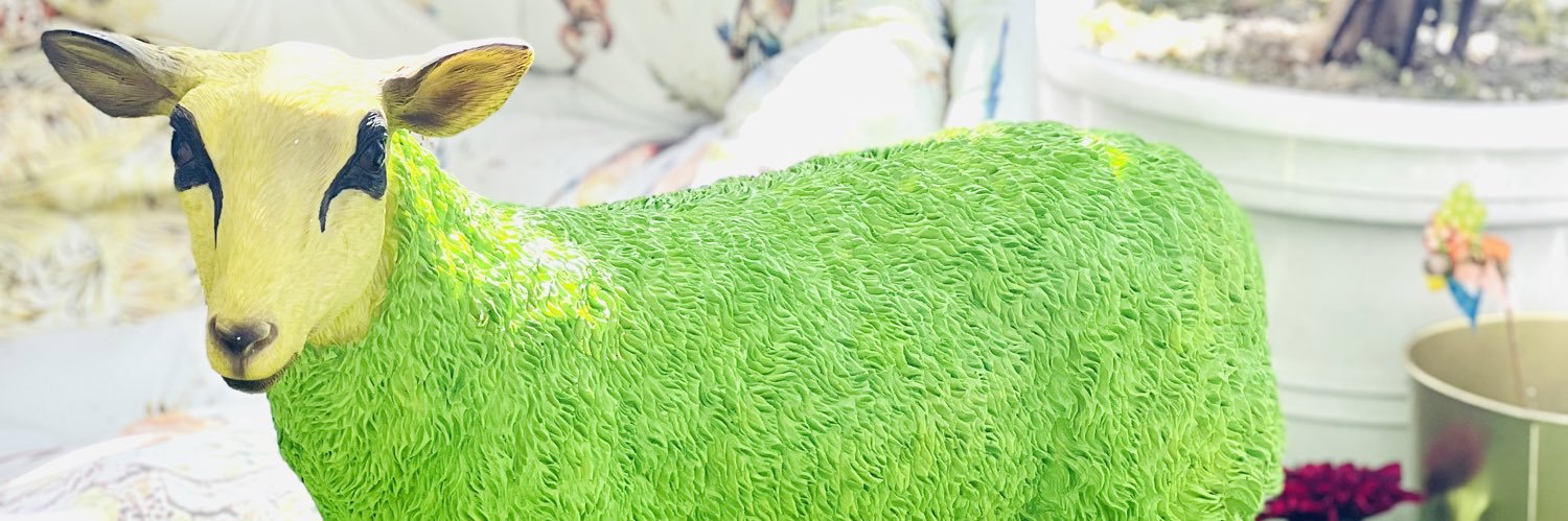 meloyboy's profile banner image