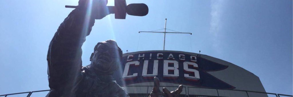 Trevor Stibbe banner