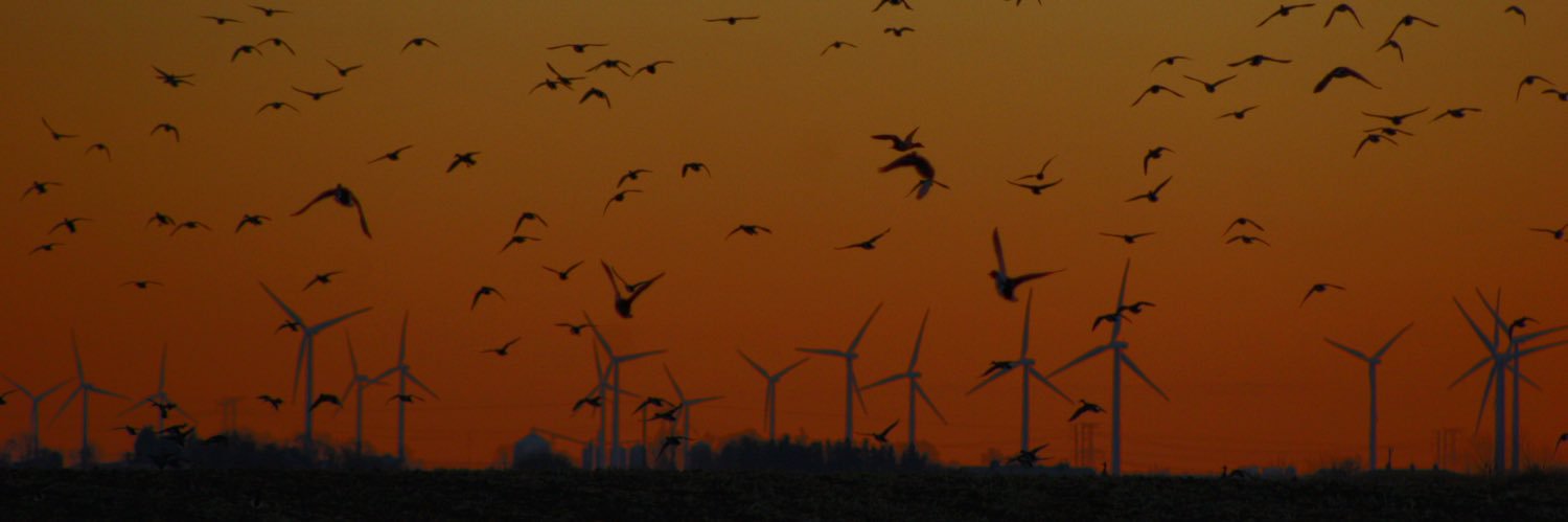 Mazonia Hunt Club banner