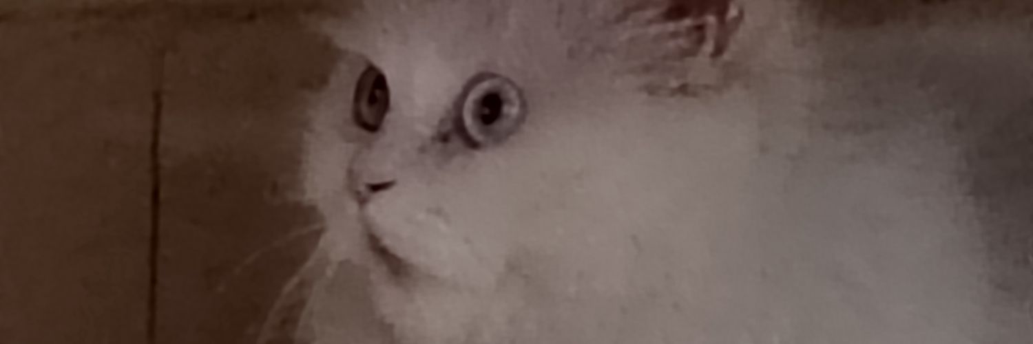 OMJOEEL's profile banner image