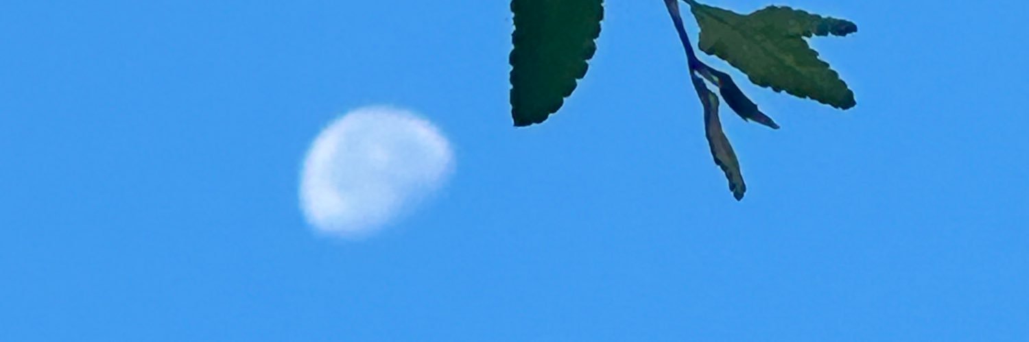 1mob4igo's profile banner image