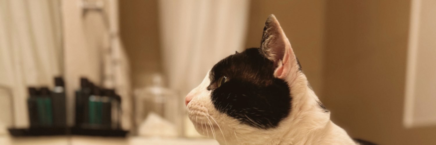 Gabrielaur_'s profile banner image