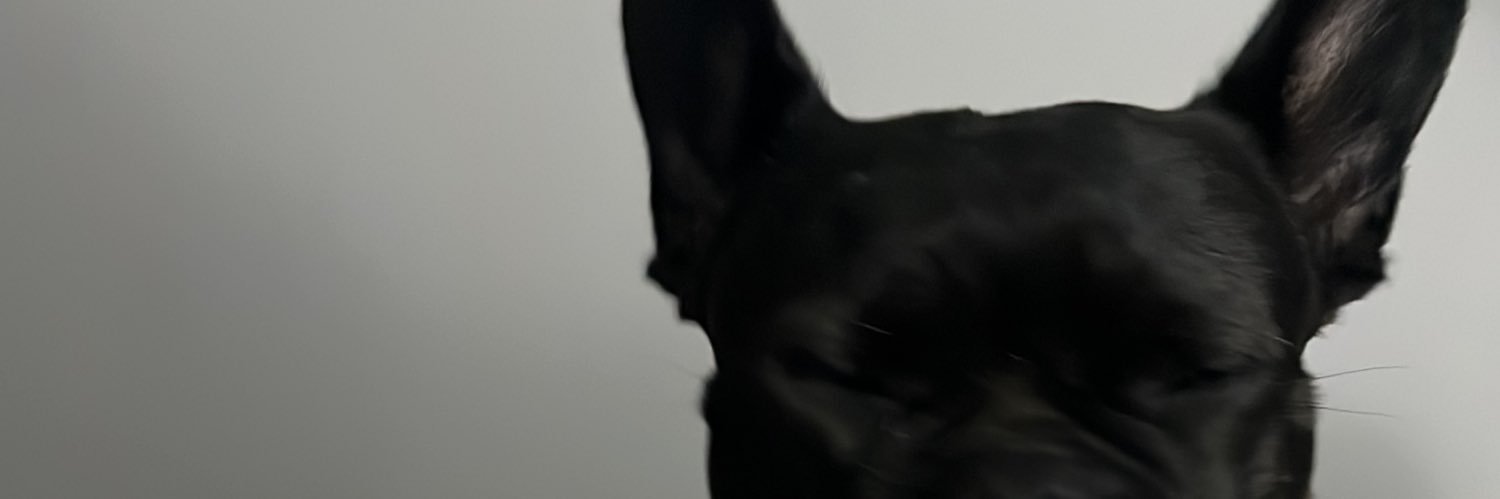 SonderLau's profile banner image