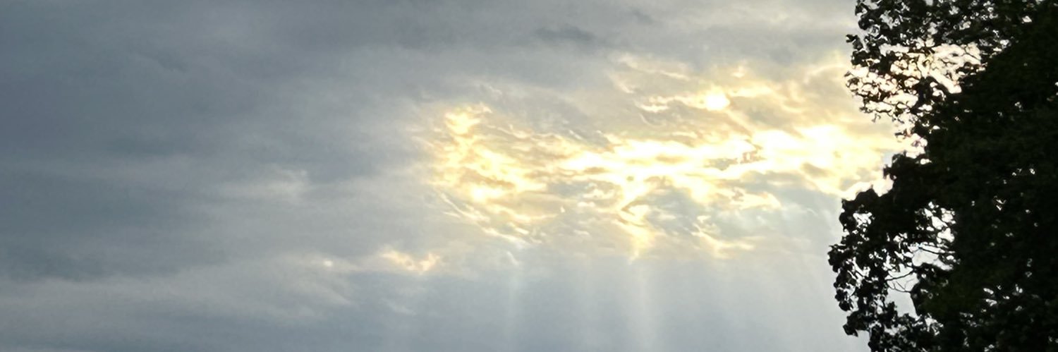 ayeyoubleu's profile banner image