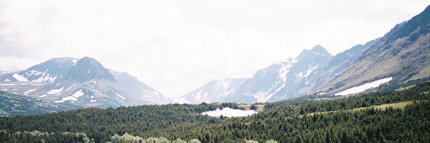 jacelynrasti's profile banner image