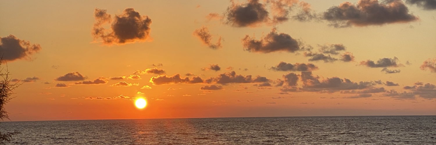 elledhurmea's profile banner image