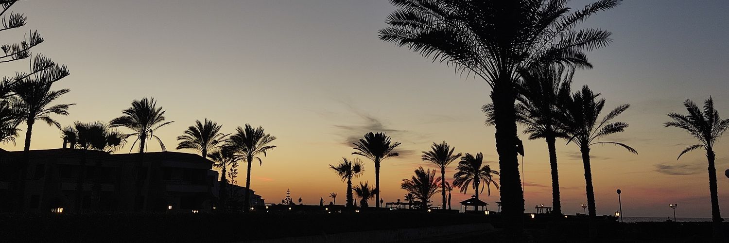 youssefalfarr's profile banner image