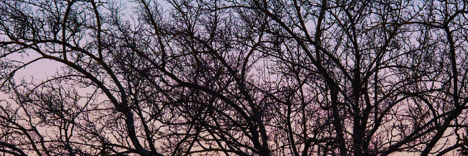 OrianneThink's profile banner image