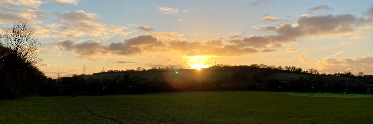 Michelle Monaghan banner