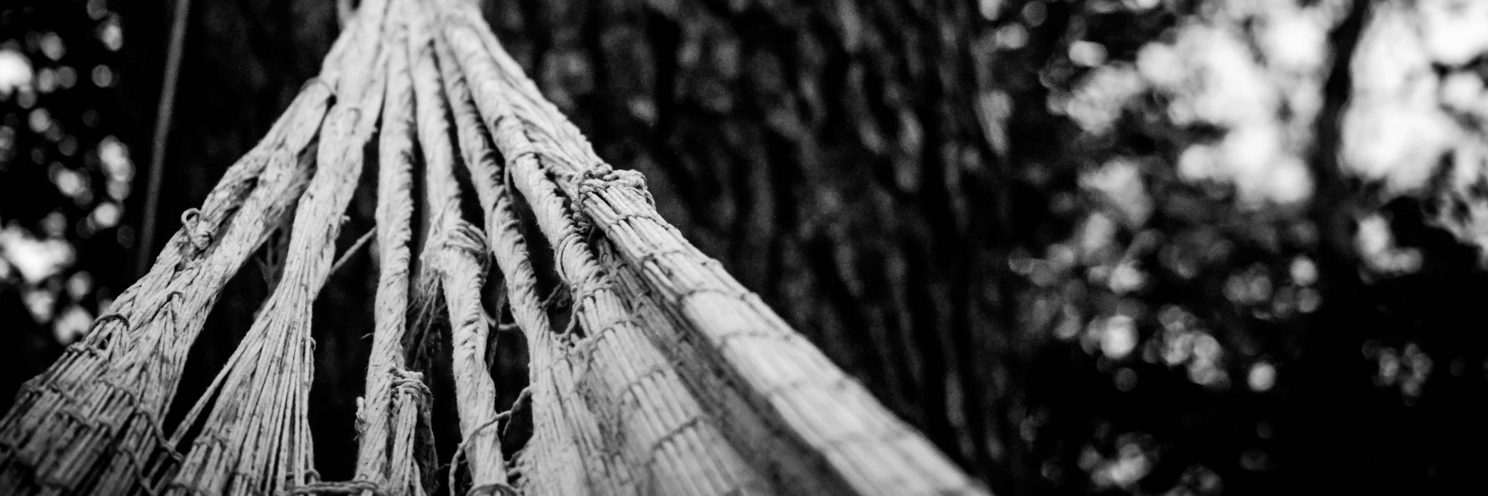 gam1320's profile banner image