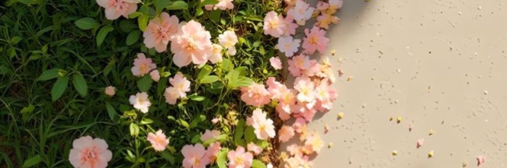 bym_irem's profile banner image