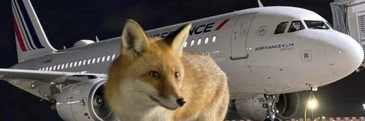 FoxGoon68's profile banner image