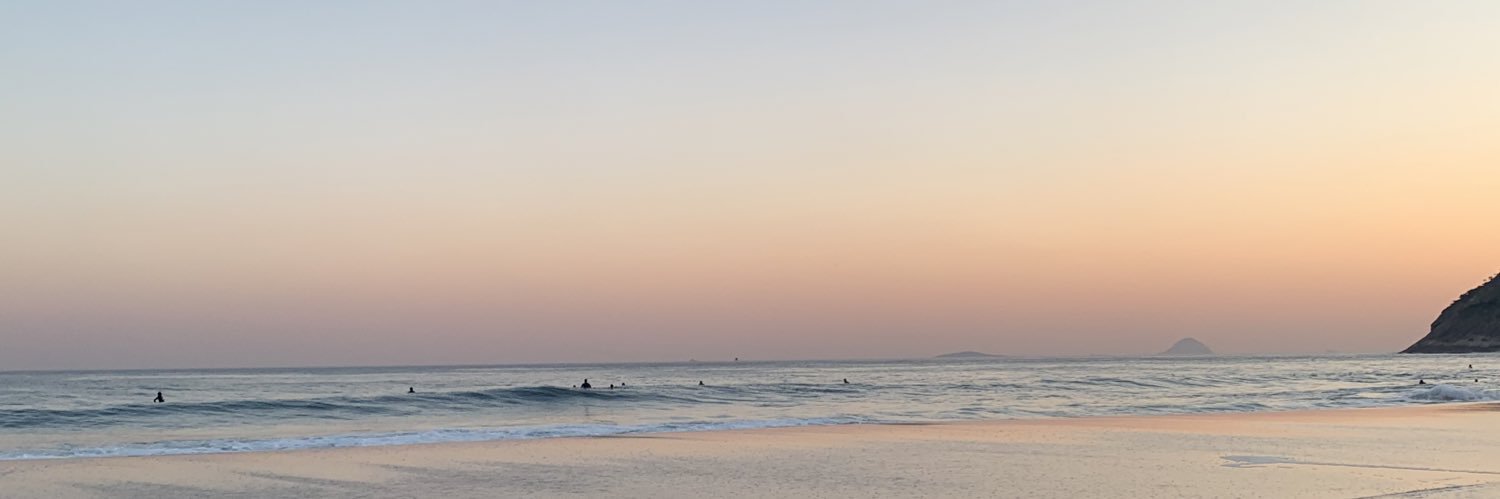 larissatsf's profile banner image