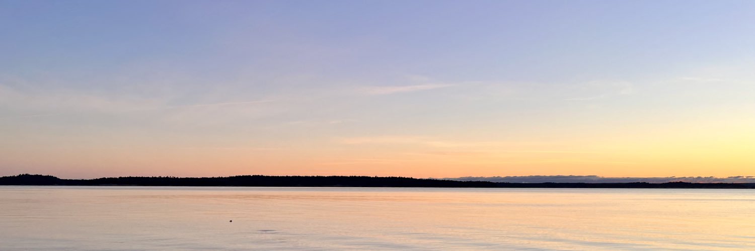 NickJRitchie's profile banner image