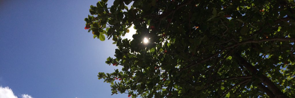 andretheodoro_'s profile banner image