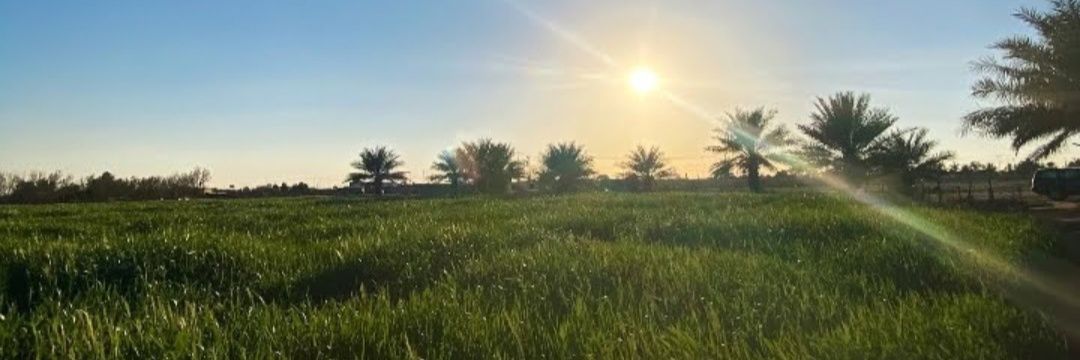 محمد1404n - banner