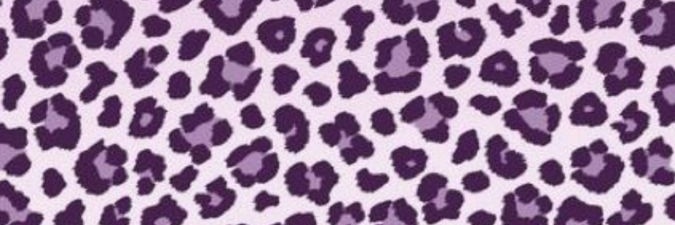 💦Lisaaa💕 banner