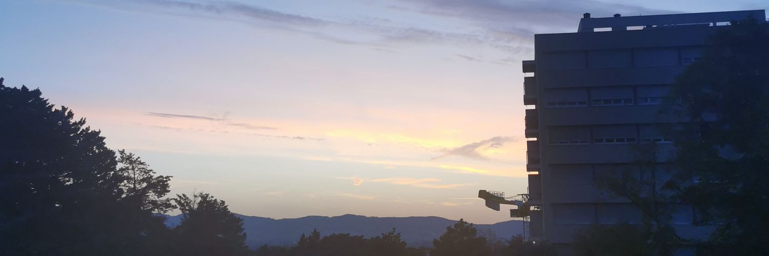 Biiirdo Audrey banner
