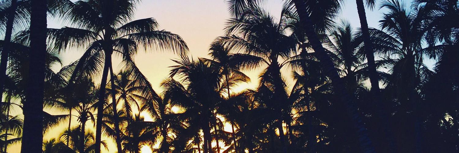 Tini245's profile banner image