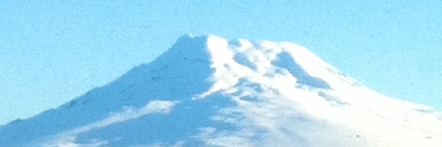 LeedsStein's profile banner image