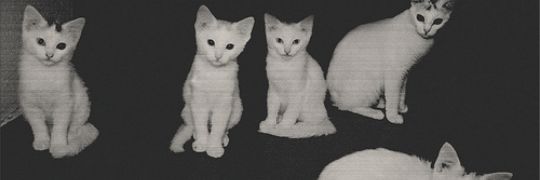 Valethina_CV's profile banner image