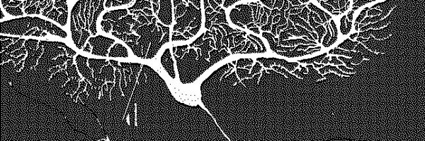 pennapdr Profile Banner