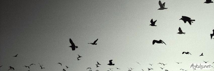 Bon_AParte's profile banner image