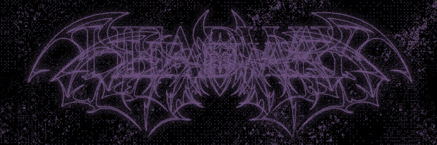 ⋆𐙚₊˚⊹🖤🪽 banner