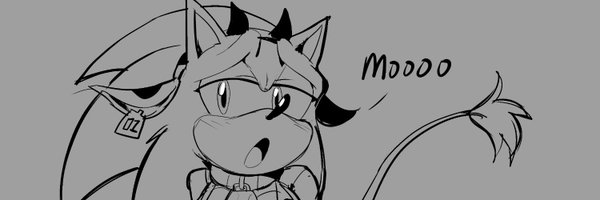 SomeDivs Profile Banner
